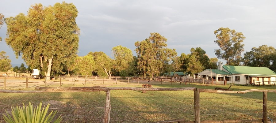 10 Bedroom Property for Sale in Philadelphia Western Cape